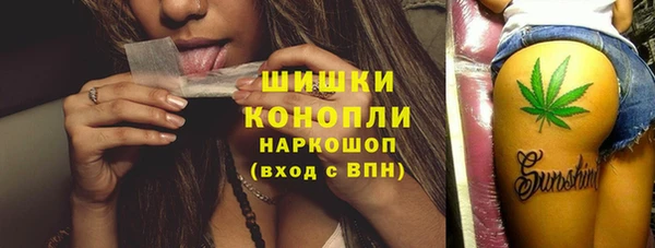шишки Алексин