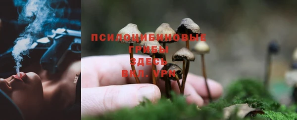 шишки Алексин