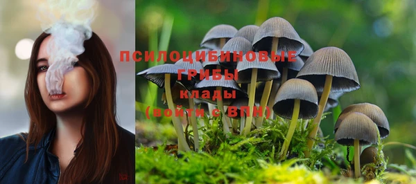 таблы Алзамай
